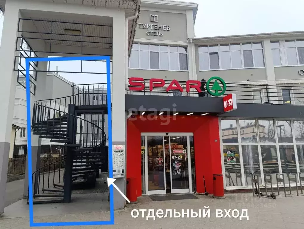 Помещение свободного назначения в Калининградская область, ... - Фото 1