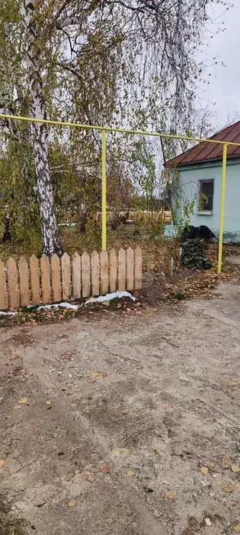 Дом в Алтайский край, Павловский район, с. Черемное Нагорная ул. (142 ... - Фото 1