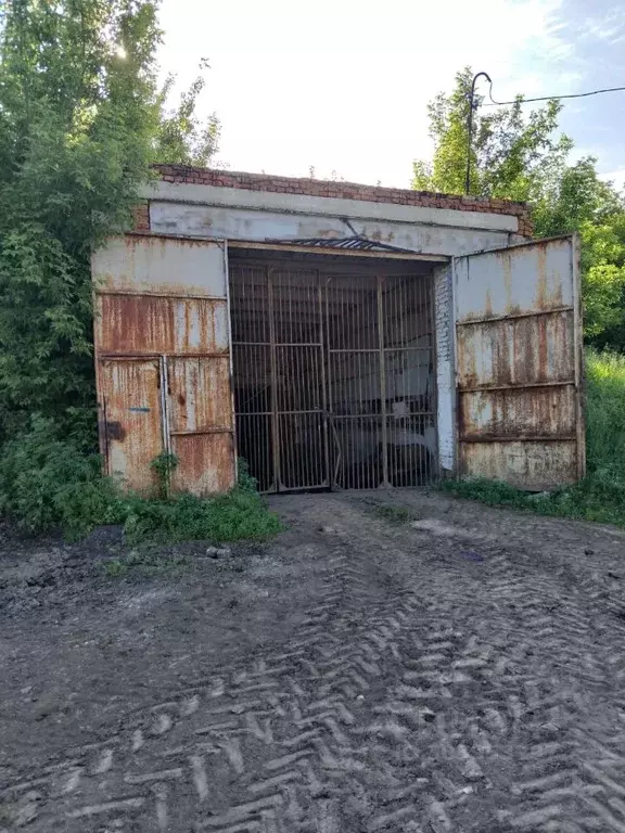 Склад в Алтайский край, Первомайский район, с. Березовка ул. Мичурина, ... - Фото 1