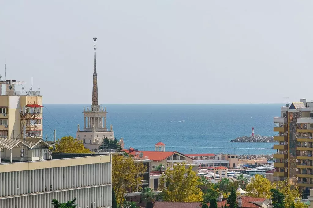 2-к кв. Краснодарский край, Сочи Центральный мкр, ул. Роз, 36 (60.59 ... - Фото 1