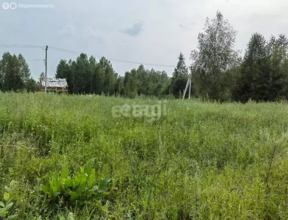 Участок в Новосибирский район, Плотниковский сельсовет, село Жеребцово ... - Фото 0