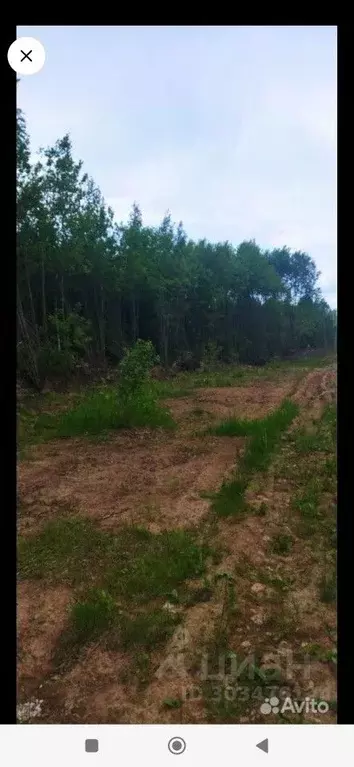 Участок в Пермский край, Добрянский городской округ, д. Бобки ул. ... - Фото 1