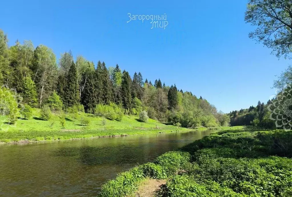 Участок в Калужская область, Жуковский район, Чубарово с/пос, Малинки ... - Фото 2