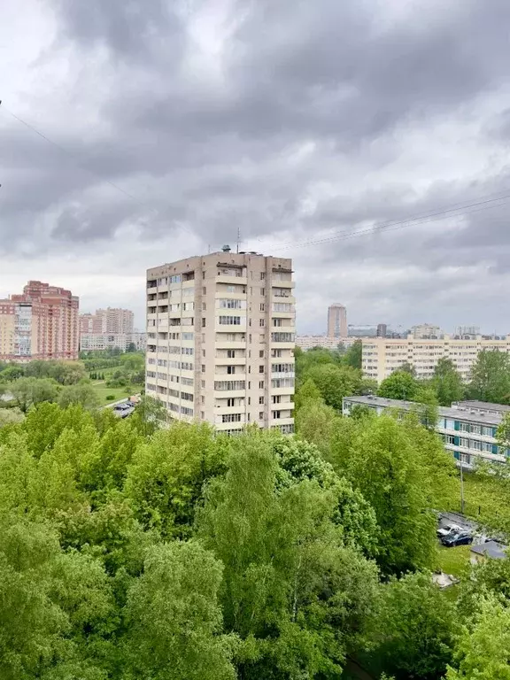 3-к кв. Санкт-Петербург ул. Турку, 18 (60.9 м) - Фото 1