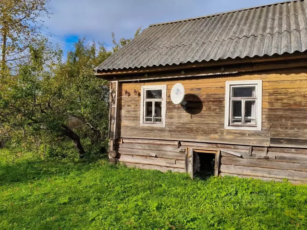 Дом в Вологодская область, Белозерский муниципальный округ, с. Куность ... - Фото 2