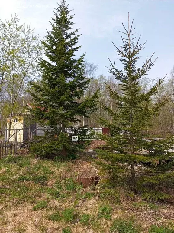Участок в Южно-Сахалинск, Лесная улица (8.94 м) - Фото 0