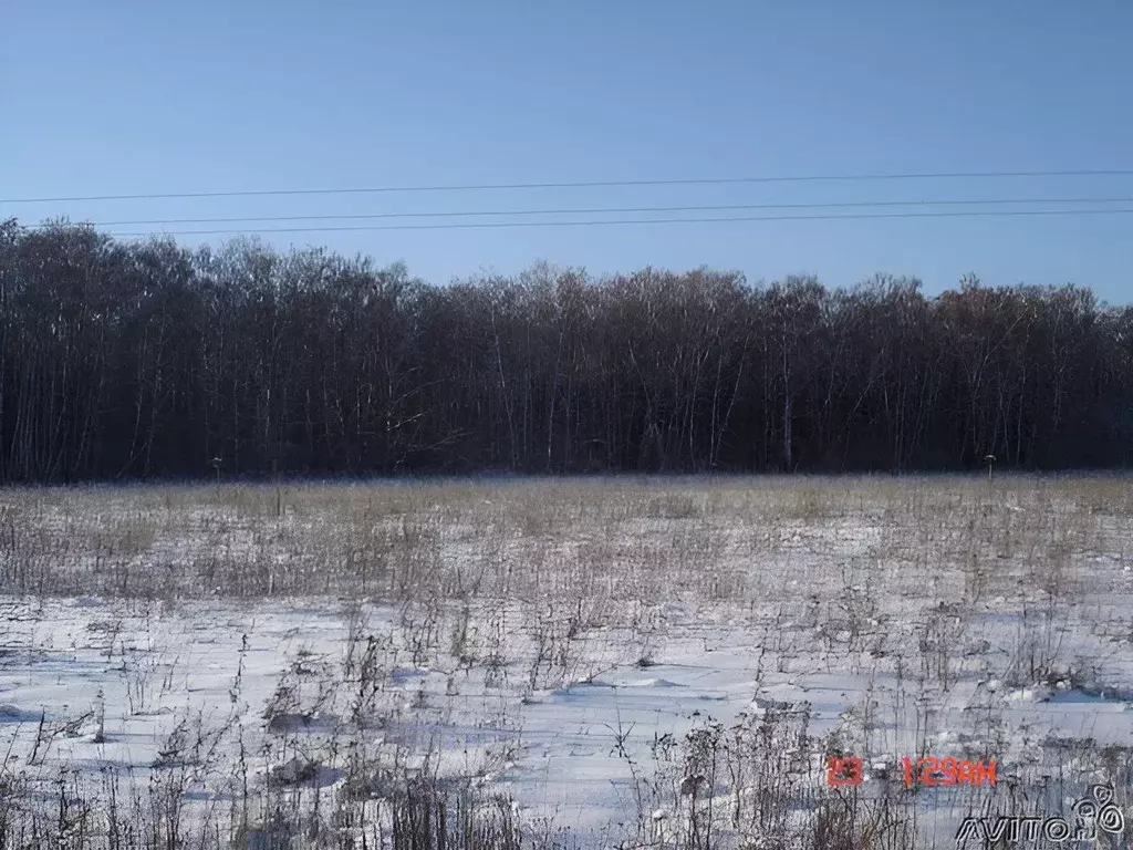 Участок в Московская область, Коломна городской округ, пос. ... - Фото 1