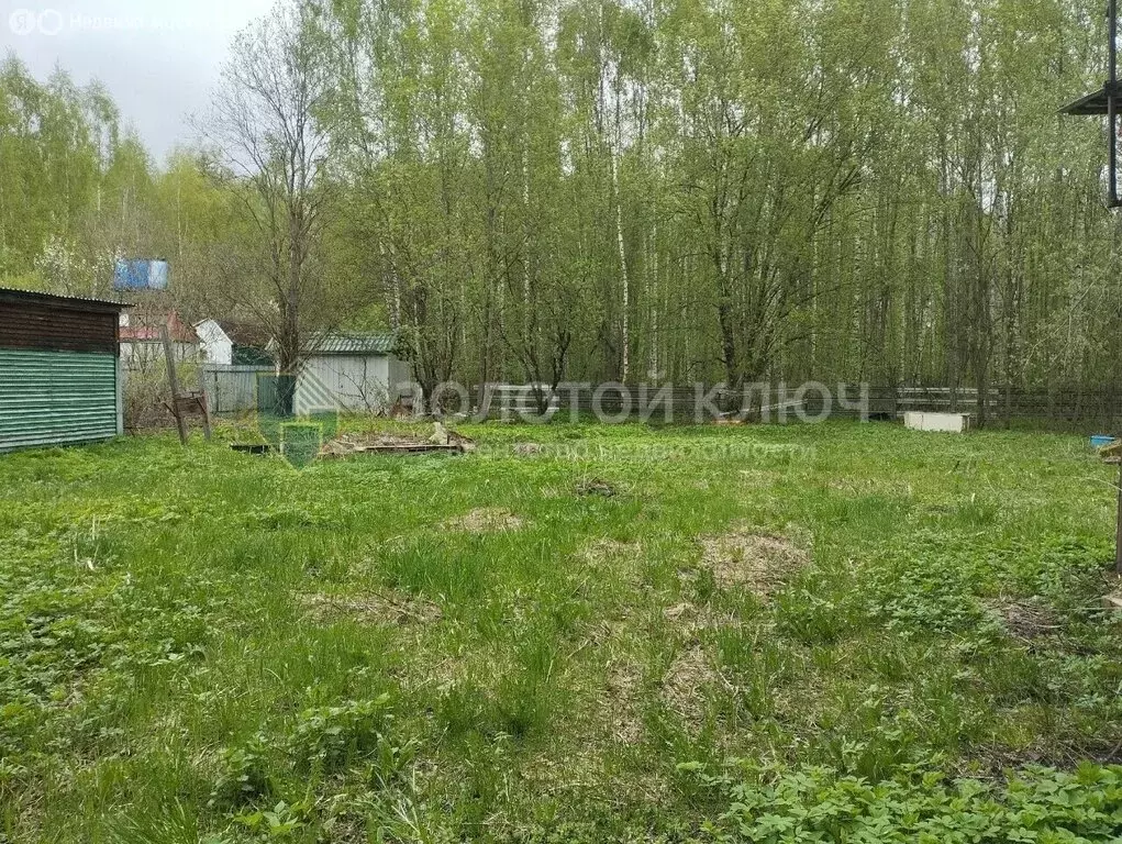 Участок в Талдомский городской округ, деревня Высочки (10 м) - Фото 1