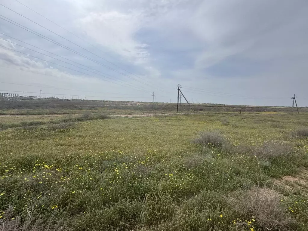 Участок в Астраханская область, Наримановский район, с. ... - Фото 1