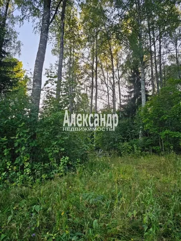 Участок в Карелия, Лахденпохский муниципальный округ, Рукола тер.  ... - Фото 2