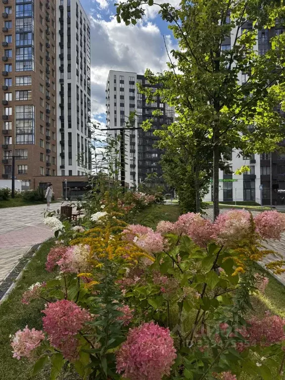 3-к кв. Москва просп. Магеллана, 5 (70.0 м) - Фото 2