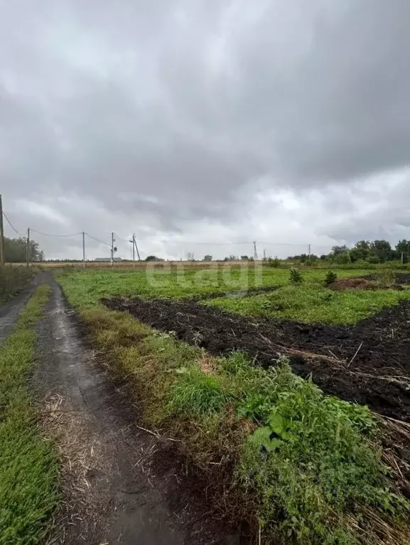 Участок в Кемеровская область, Кемеровский район, с. Елыкаево ... - Фото 0