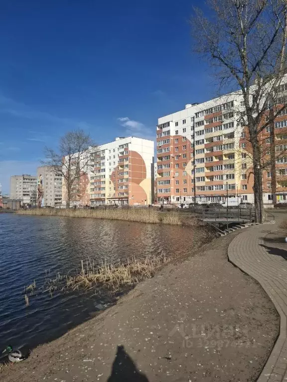 1-к кв. Новгородская область, Великий Новгород Большая ... - Фото 1