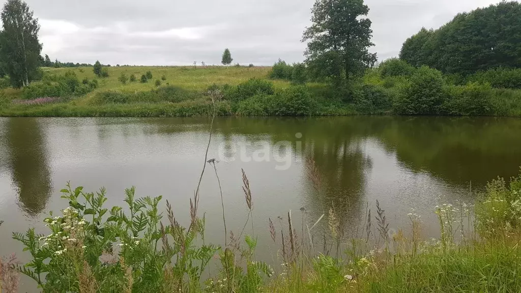 Участок в Брянская область, Жуковский муниципальный округ, д. Упрусы  ... - Фото 2