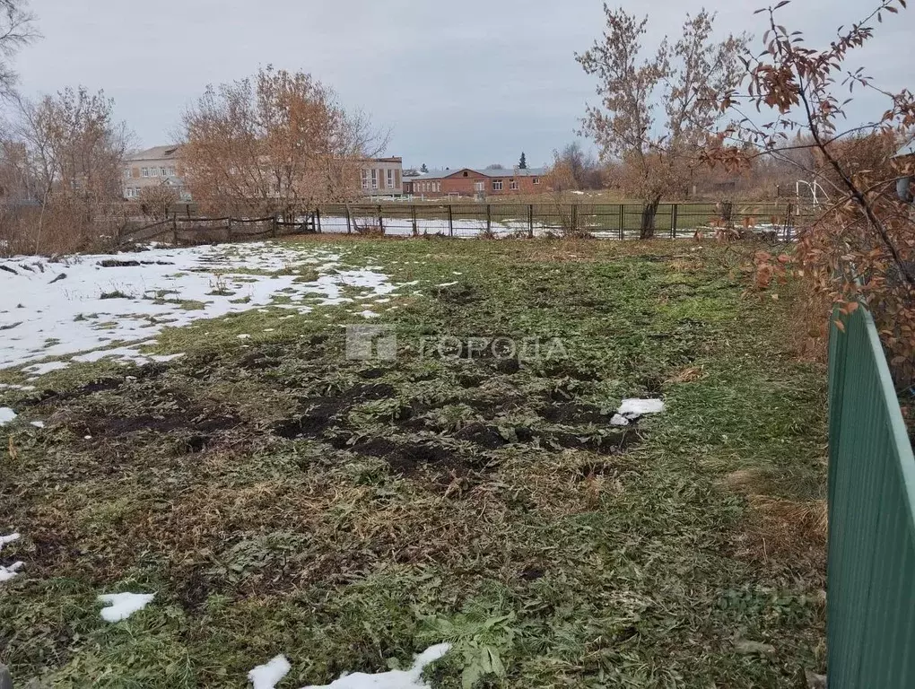 Участок в Новосибирская область, Черепановский район, Посевная рп ... - Фото 1
