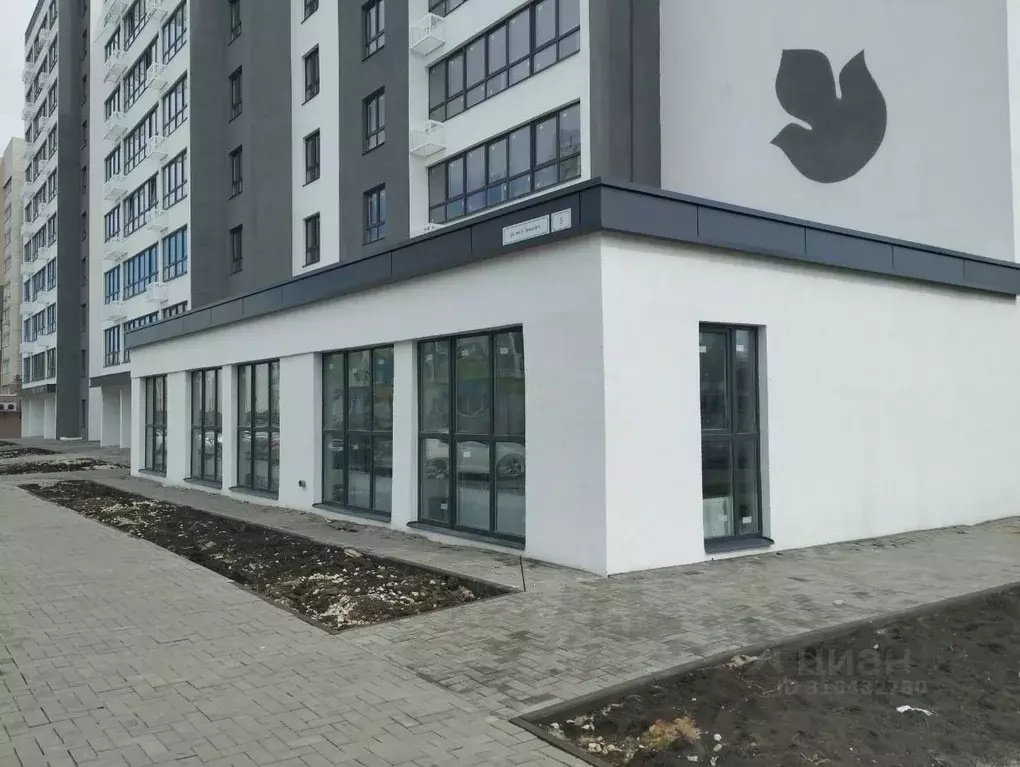Помещение свободного назначения в Саратовская область, Саратов ул. ... - Фото 0