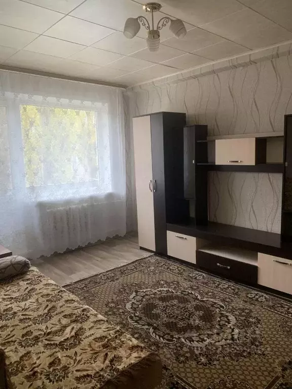 1-к кв. Саратовская область, Энгельс Зеленый пер., 1 (29.3 м) - Фото 1