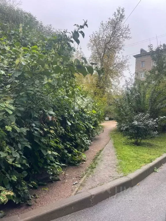 Комната Санкт-Петербург ул. Корнеева, 12 (15.0 м) - Фото 2