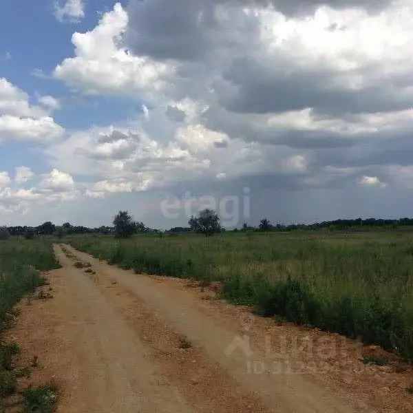 Участок в Ростовская область, Аксайский район, Ольгинская ст-ца ... - Фото 0