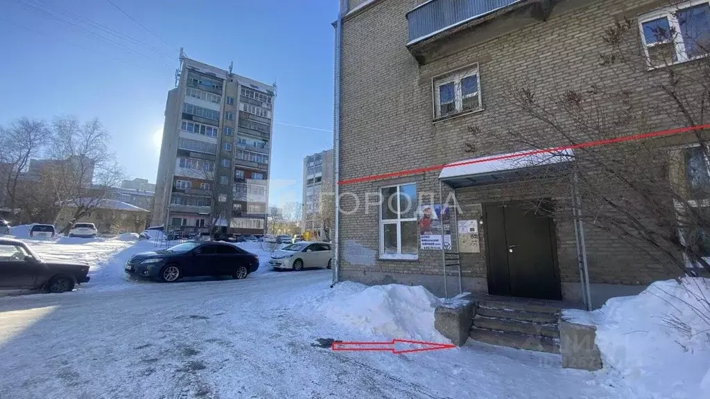 Помещение свободного назначения в Новосибирская область, Новосибирск ... - Фото 1