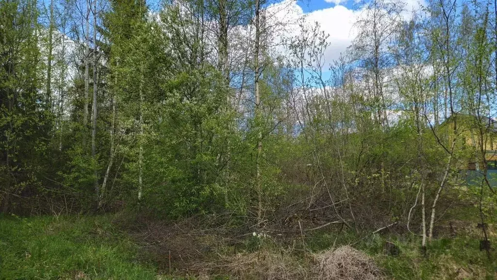 Участок в Ленинградская область, Выборгский район, Полянское с/пос, ... - Фото 2