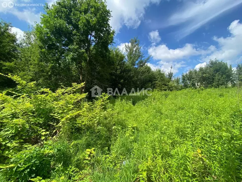 Участок в Калининград, улица Александра Суворова (4.21 м) - Фото 1