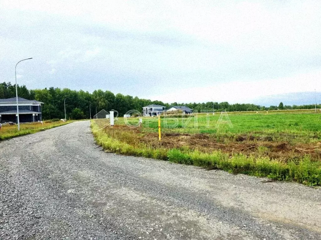 Участок в Тюменская область, Тюменский район, с. Каменка, Завидово кп  ... - Фото 2