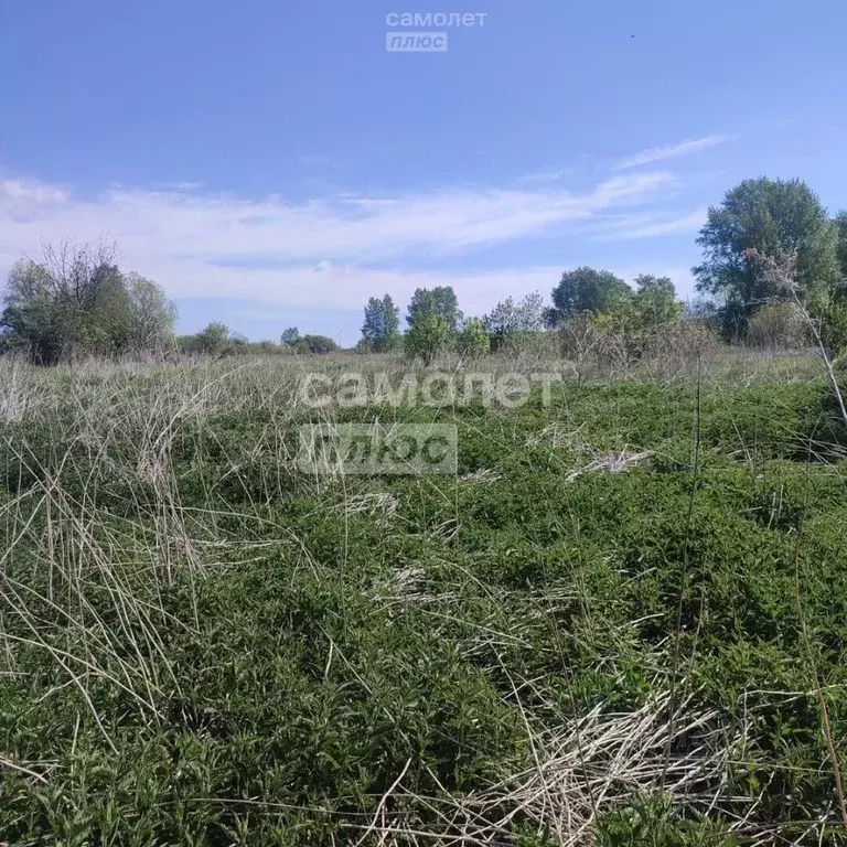 дом в свердловская область, каменский городской округ, с. пирогово ул. . - Фото 1