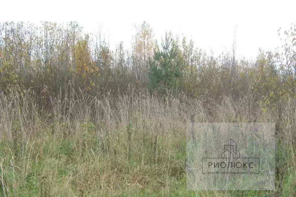 Участок в село Светлое, Октябрьская улица, 18 (15 м) - Фото 1