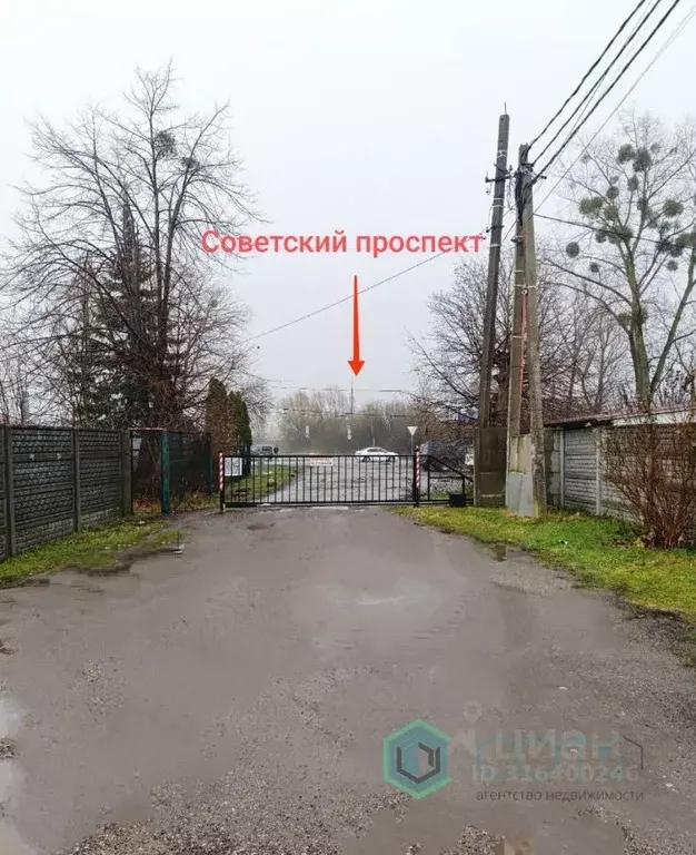 Участок в Калининградская область, Калининград ул. Каштановая Аллея ... - Фото 0