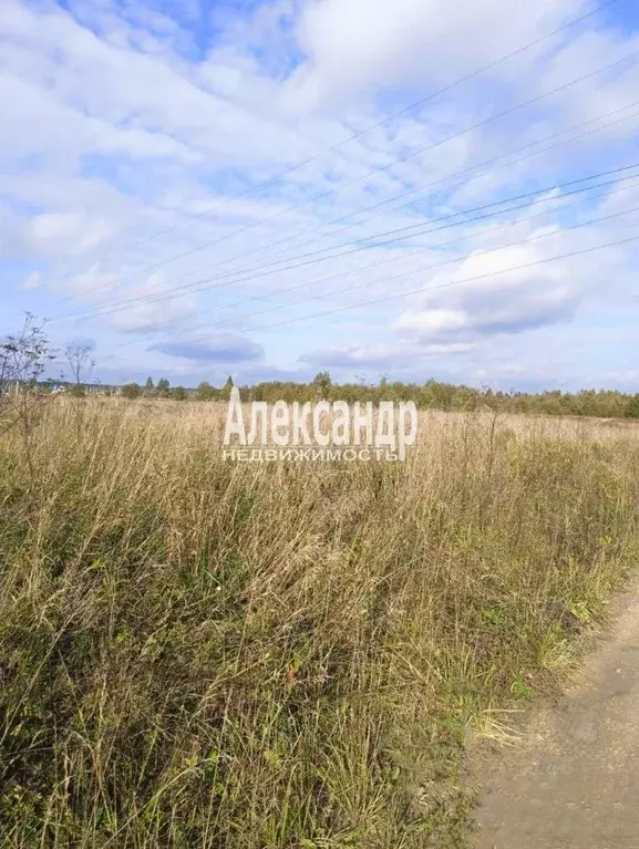Участок в Ленинградская область, Ломоносовский район, Лопухинское ... - Фото 2
