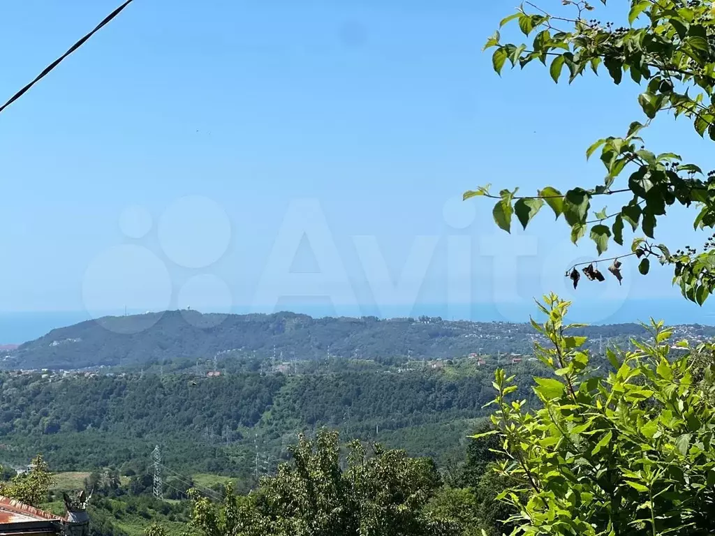 Участок 40 сот. (ИЖС) - Фото 1