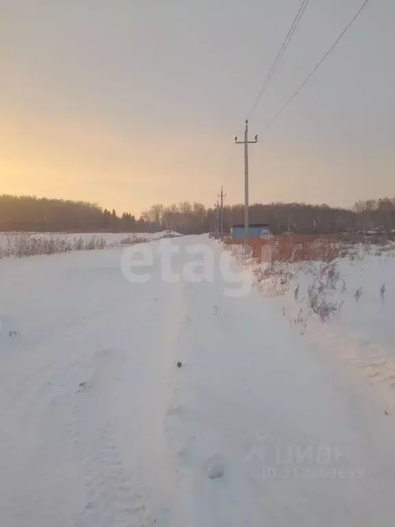 Участок в Омская область, Омский район, с. Пушкино ул. 30 лет Победы, ... - Фото 1