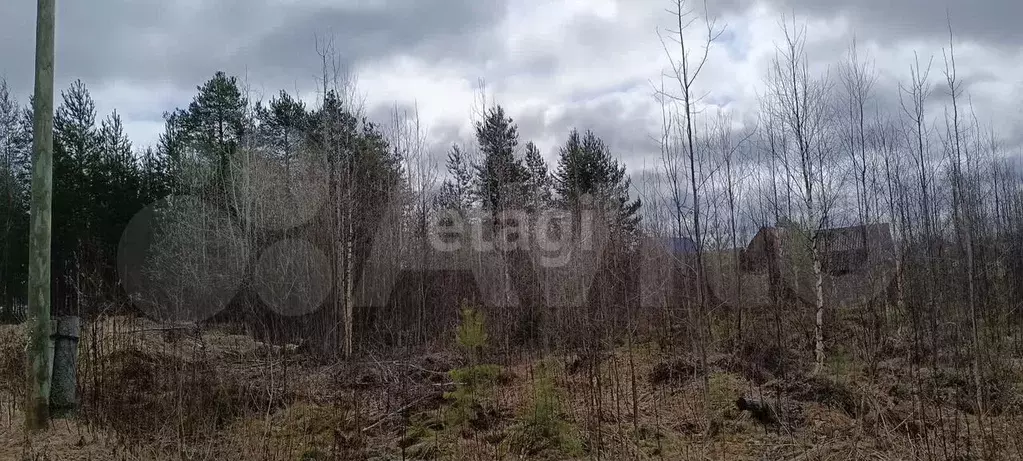 Участок 9,9 сот. (СНТ, ДНП) - Фото 1