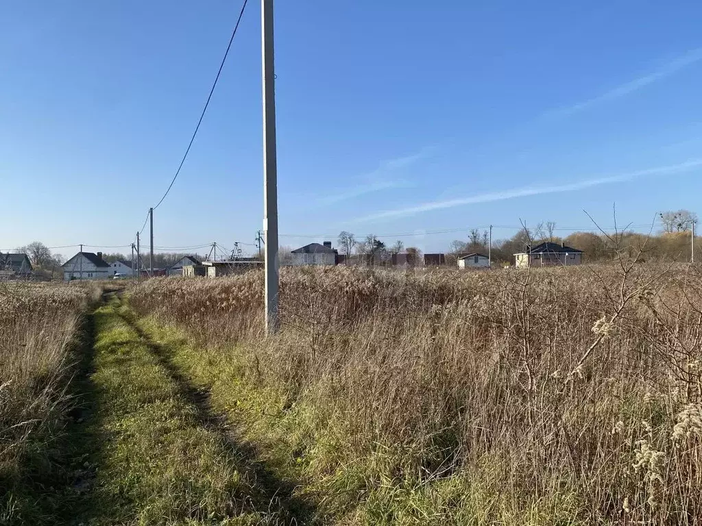 Участок в Калининградская область, Гурьевский муниципальный округ, ... - Фото 1