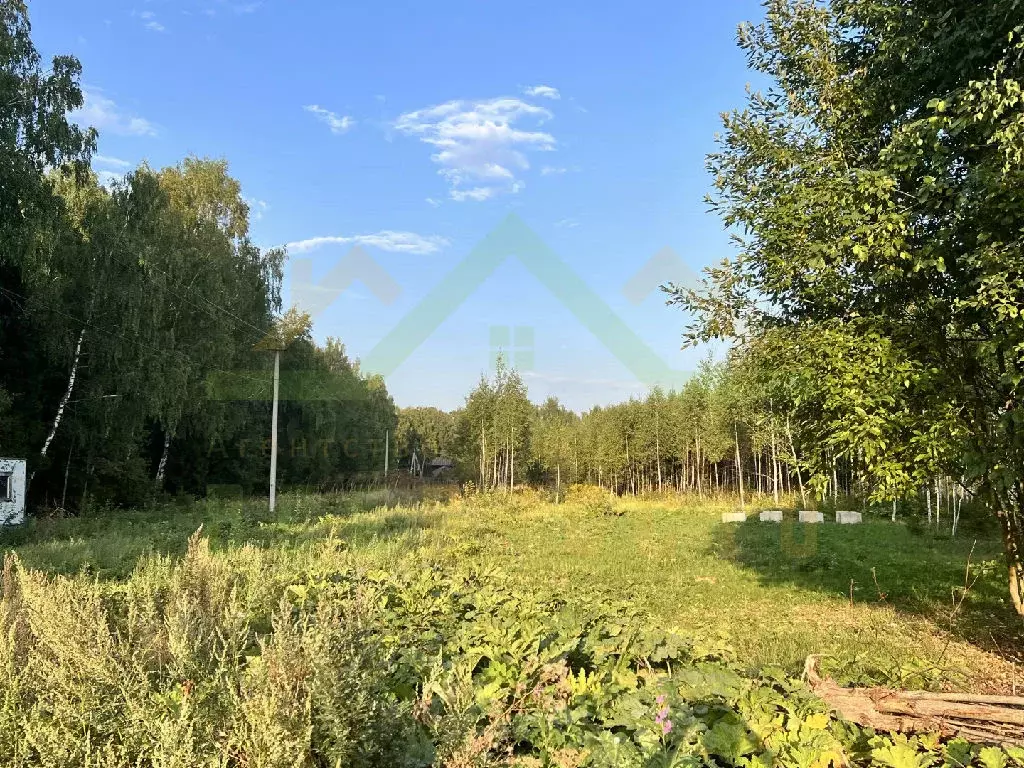 Продается участок в с. Тишково - Фото 2