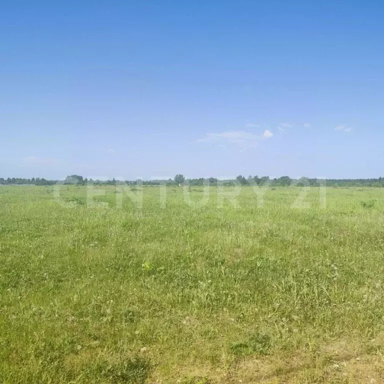 Участок в Пермский край, д. Качка ул. Тюляковская (590.0 сот.) - Фото 0