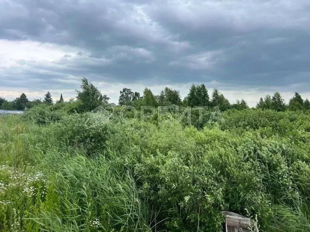 Участок в Тюменская область, Тюмень Ягодное СНТ, ул. Заречная, 491 ... - Фото 1