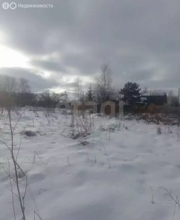 Участок в Бердск, СНТ Вега-4, 6-я улица (10 м) - Фото 1