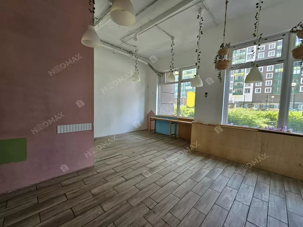 Помещение свободного назначения в Ленинградская область, Мурино ... - Фото 1