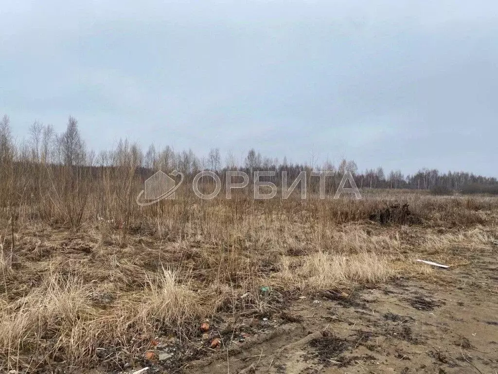 Участок в Тюменская область, Тюмень ул. Дмитрия Носова (8.35 сот.) - Фото 1