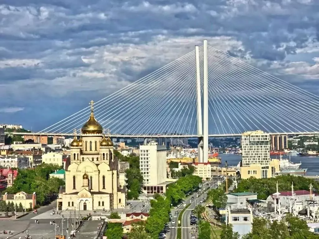 1-к кв. Приморский край, Владивосток Алеутская ул., 17 (16.0 м) - Фото 0