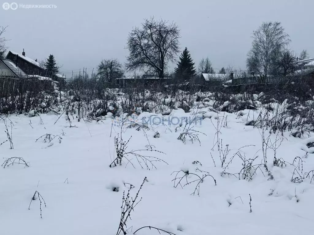 Участок в Нижегородская область, Богородский муниципальный округ, ... - Фото 1