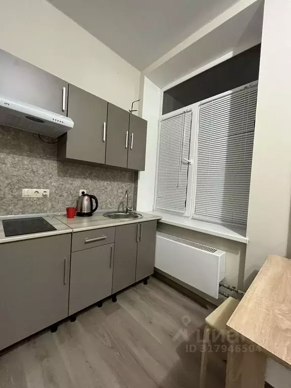 1-к кв. Москва Рябиновая ул., 45К2 (23.0 м) - Фото 0