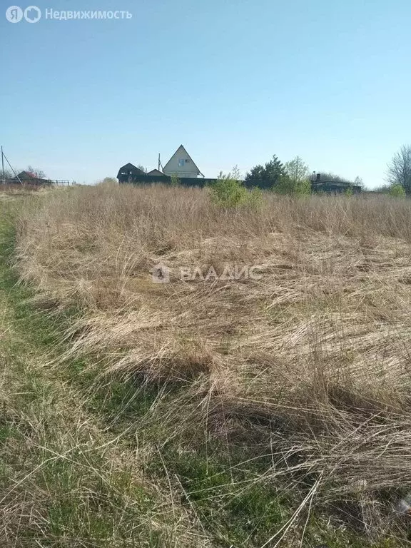 Участок в Суздальский район, муниципальное образование Павловское, ... - Фото 1