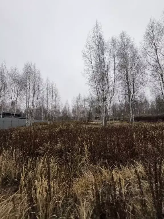 Участок в Тульская область, Тула городской округ, д. Новоселки 57Б/1 ... - Фото 2