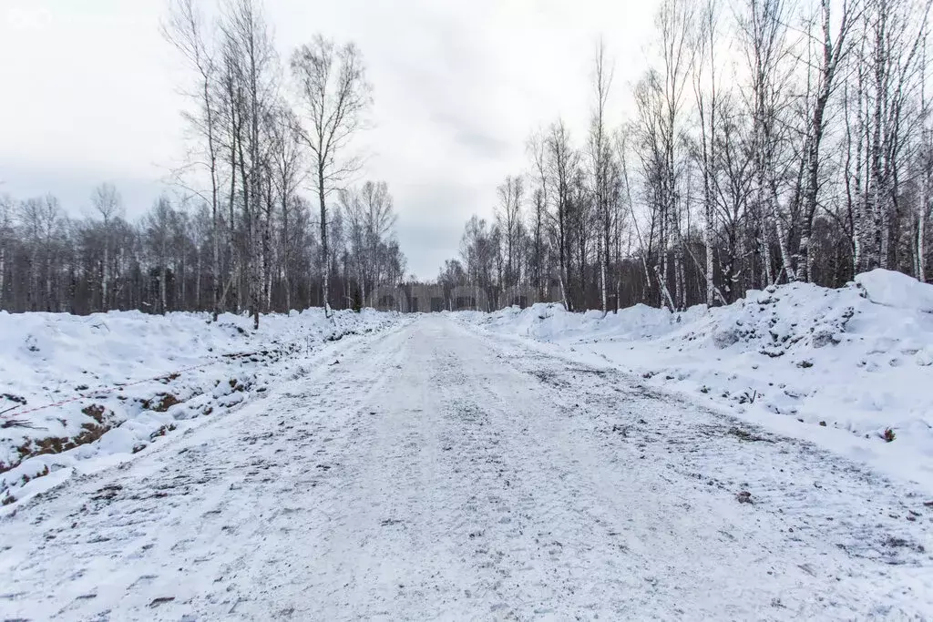 Участок в Тобольск, микрорайон Усадьба (992 м) - Фото 2