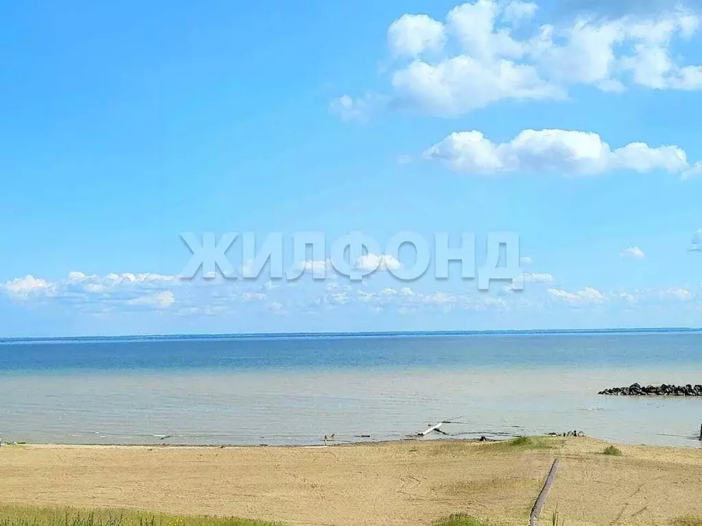 Участок в Новосибирская область, Новосибирский район, Морской ... - Фото 0