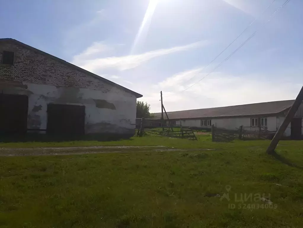 Производственное помещение в Алтайский край, Краснощековский район, ... - Фото 2