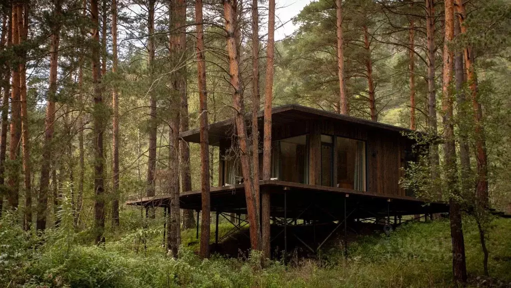 Дом в Алтай, Чемальский район Чемальский тракт, 14-й км (46 м) - Фото 2